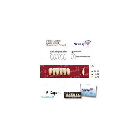 Juego x6 (newcryl dientes acrilicos 2 capas tonalidades vita)