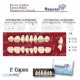 Juego x8 (newcryl dientes acrilicos 2 capas tonalidades vita)