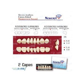 Juego x8 (newcryl dientes acrilicos 2 capas tonalidades vita)