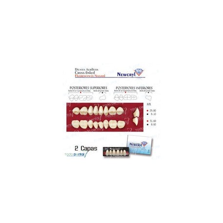 Juego x8 (newcryl dientes acrilicos 2 capas tonalidades vita)