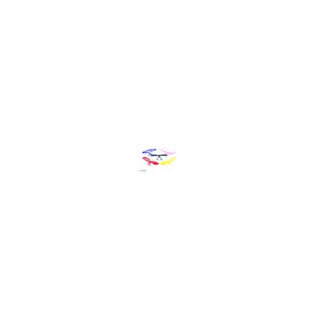 Lentes de proteccion sport ( colores )