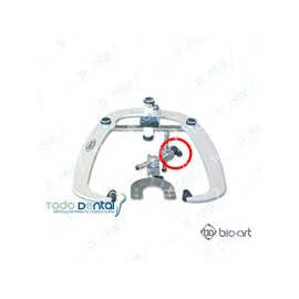 Mariposa arco facial