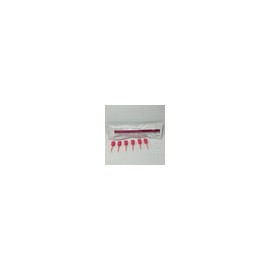 Maxcem elite chroma bulk 1 jer 5 gr c/puntas