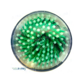 Micro applicators c/100 (premium plus)