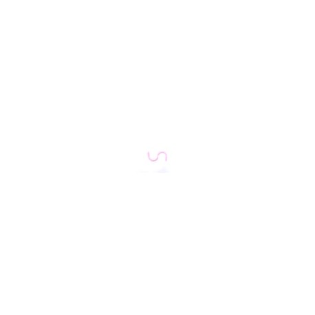 Modulo Ahkimpech S