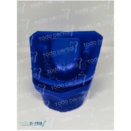 Moldes p/modelo yeso dentados