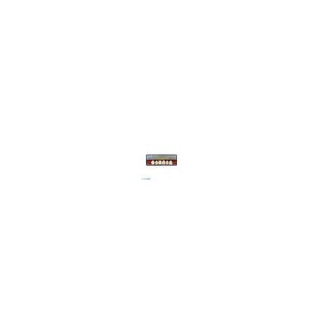 Babydent dientes acrilico 1x6