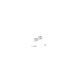 Banda anatomica 1 molar Borgatta Upper