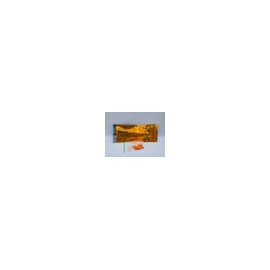Bio-c sealer 0,5grs
