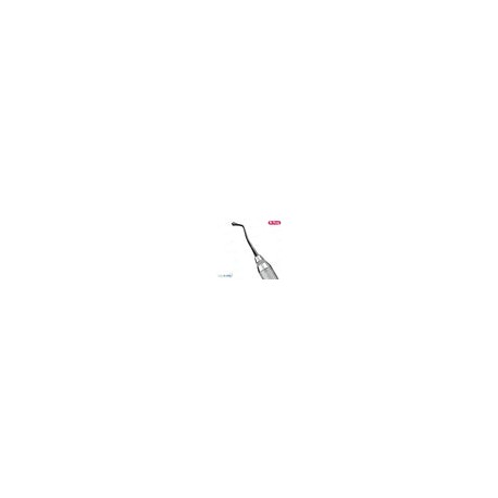 Bruñidor wescott/cono 21b hu-friedy